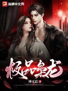 极品枭雄叶沉浮完整