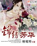 锦绣芳华集锦