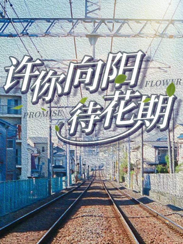 许你向我看 番外