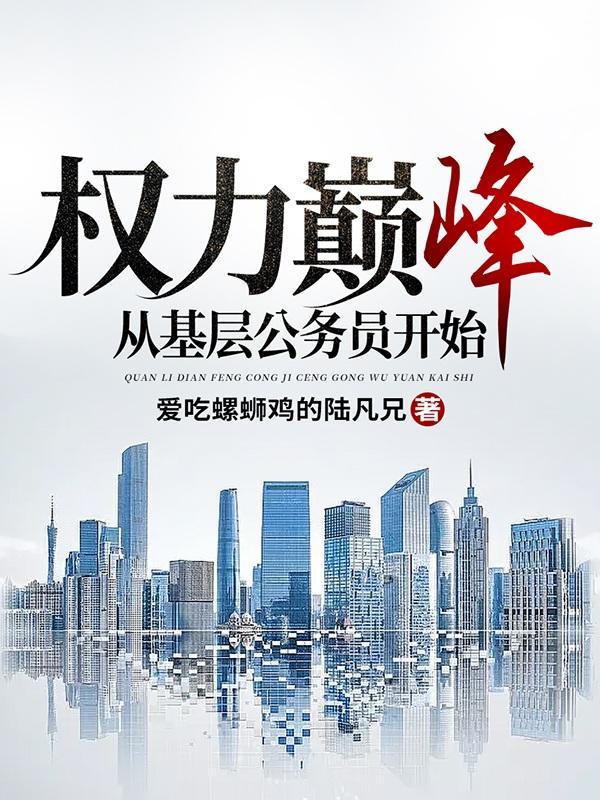 权力巅峰从基层公务员开始概括