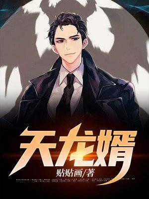 天龙狂婿合集