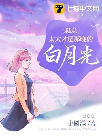 陆总
