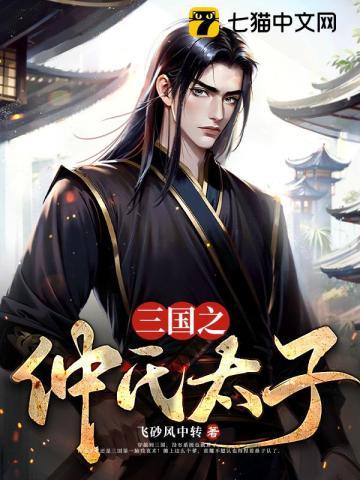 三国之仲谋