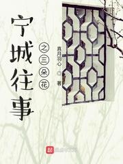 宁城往事之三朵花全集
