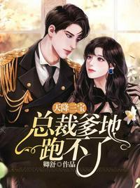 天降三宝总裁爹地宠妻甜如蜜