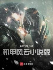 机甲风云免广告版