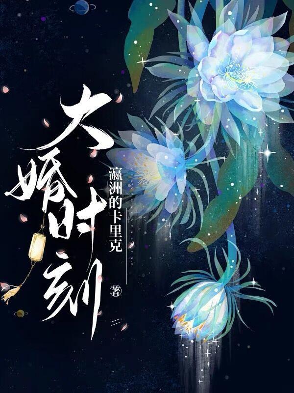 大婚章节