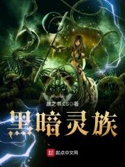 黑暗灵族之路任务