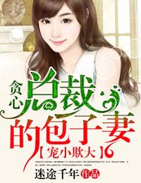 贪心总裁的包子妻全文
