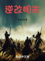 逆改大明