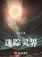 迷踪侠影