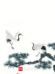 恒界海南投资有限公司