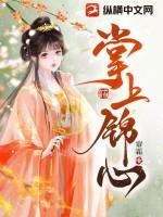 掌上锦心讲的是什么内容