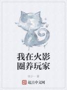 我在火影作npc
