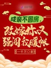 改嫁你又强闯我暖帐 txt