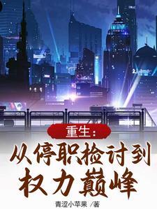 萧林升重生从停检讨到权力巅峰