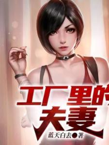 工厂里的夫妻2孙大宝宋阳