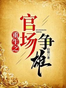 重生之官场争雄陆晨曦