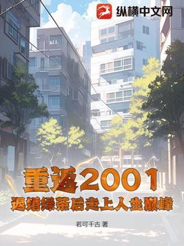 重返2001正版