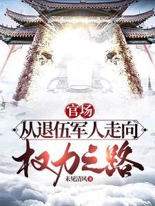 权力巅峰之路TXT