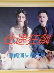 电视连续剧仕途