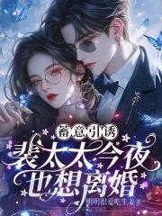 裴太太今夜也想离婚免费完整版