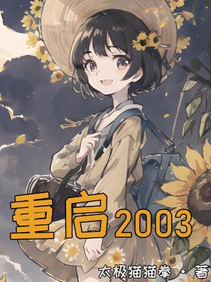 重启2003李原免费全集