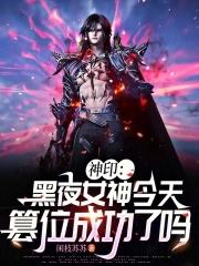 神印黑夜女神今天篡位成功了吗在哪看
