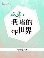 我魂穿了爱豆的cp