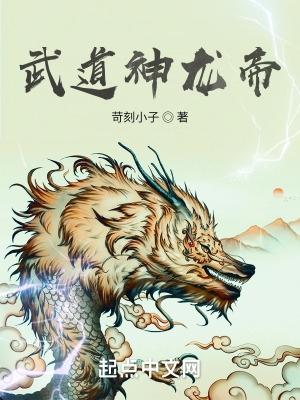 天下一武道会神龙