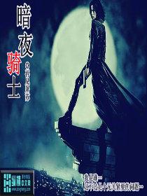 暗夜骑士电影免费观看