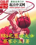 nba篮球大师迈向巅峰
