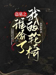 盗墓之谁偷了我的轮椅txt百度