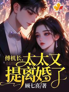 太太又提离婚了第二部