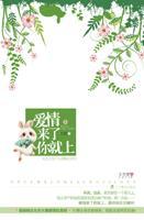 兔子压倒窝边草肖兔免费阅读