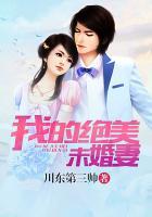 我的绝美未婚妻剧情介绍