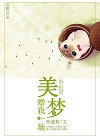 赠我一场美梦灯轻