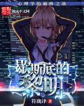 歇斯底的黎明 讲的啥