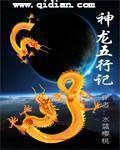 五行神龙图片