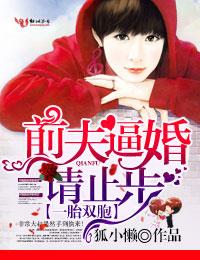 一胎双胞总裁娶妻套