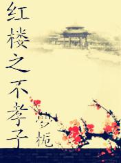 红楼之不孝子 梦栀TXT