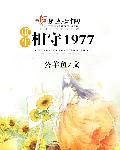 重生相守1977大结局是什么