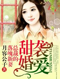 总裁的落魄新妻免费阅