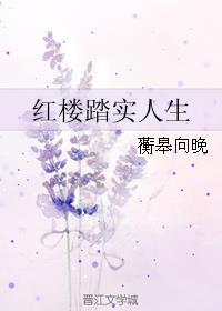 红楼踏实人生TAT