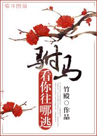 驸马看你往哪逃 百度