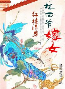 清穿+红楼 林家小爷