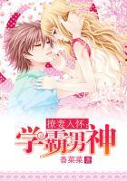 撩妻入怀:学霸男神