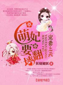 宠妻上天,萌妃要翻墙