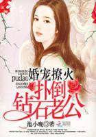 婚宠撩火:扑倒钻石老公